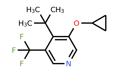 CAS 1243463-85-5 | 4-Tert-butyl-3-cyclopropoxy-5-(trifluoromethyl)pyridine
