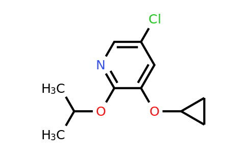 CAS 1243464-35-8 | 5-Chloro-3-cyclopropoxy-2-isopropoxypyridine