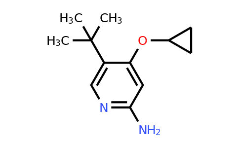 CAS 1243464-78-9 | 5-Tert-butyl-4-cyclopropoxypyridin-2-amine