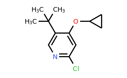 CAS 1243464-82-5 | 5-Tert-butyl-2-chloro-4-cyclopropoxypyridine