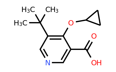 CAS 1243464-85-8 | 5-Tert-butyl-4-cyclopropoxynicotinic acid