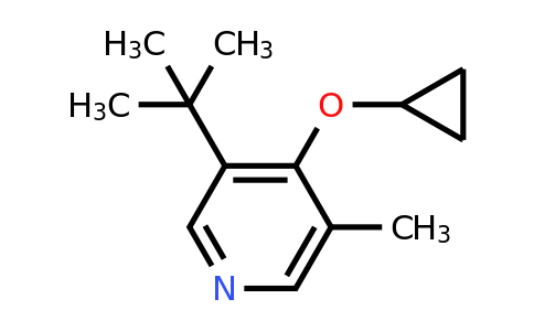 CAS 1243464-92-7 | 3-Tert-butyl-4-cyclopropoxy-5-methylpyridine