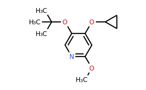 CAS 1243465-42-0 | 5-Tert-butoxy-4-cyclopropoxy-2-methoxypyridine