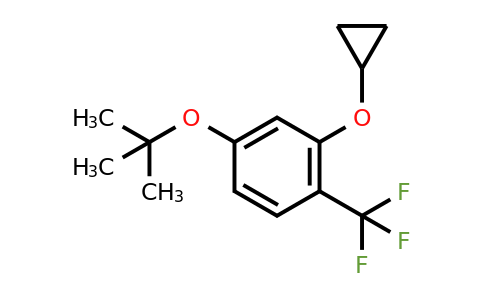 CAS 1243465-66-8 | 4-Tert-butoxy-2-cyclopropoxy-1-(trifluoromethyl)benzene