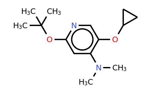 CAS 1243465-69-1 | 2-Tert-butoxy-5-cyclopropoxy-N,n-dimethylpyridin-4-amine