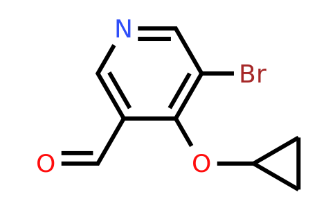 CAS 1243466-14-9 | 5-Bromo-4-cyclopropoxynicotinaldehyde