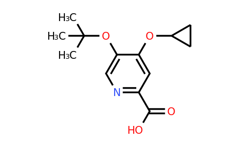 CAS 1243466-16-1 | 5-Tert-butoxy-4-cyclopropoxypicolinic acid