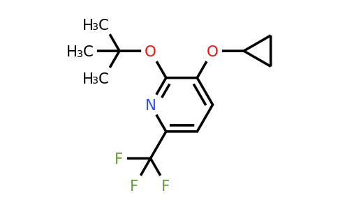 CAS 1243466-37-6 | 2-Tert-butoxy-3-cyclopropoxy-6-(trifluoromethyl)pyridine