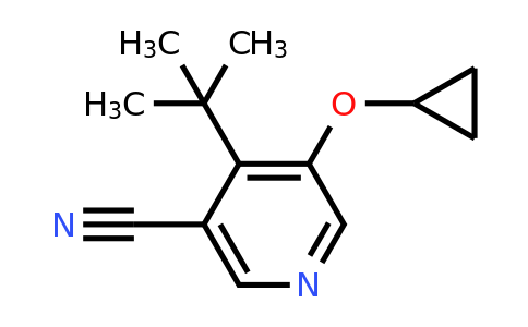 CAS 1243467-60-8 | 4-Tert-butyl-5-cyclopropoxynicotinonitrile