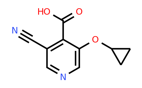 CAS 1243467-69-7 | 3-Cyano-5-cyclopropoxyisonicotinic acid