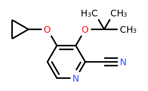 CAS 1243468-28-1 | 3-Tert-butoxy-4-cyclopropoxypicolinonitrile