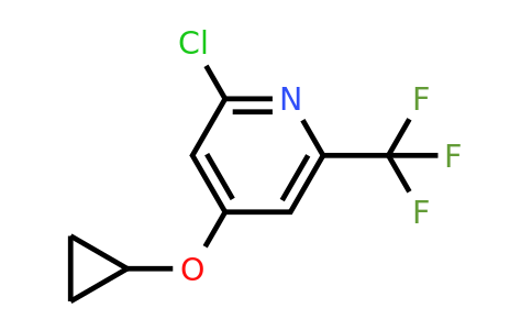 CAS 1243469-07-9 | 2-Chloro-4-cyclopropoxy-6-(trifluoromethyl)pyridine