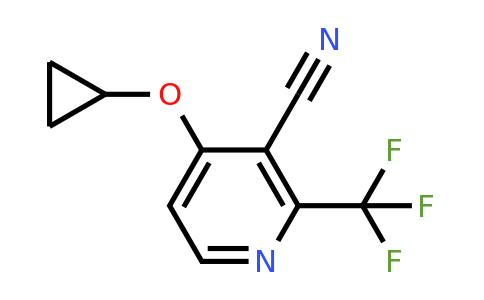 CAS 1243470-06-5 | 4-Cyclopropoxy-2-(trifluoromethyl)nicotinonitrile