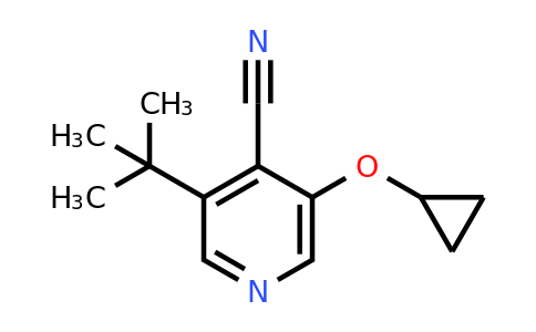 CAS 1243470-09-8 | 3-Tert-butyl-5-cyclopropoxyisonicotinonitrile