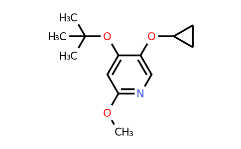 CAS 1243470-65-6 | 4-Tert-butoxy-5-cyclopropoxy-2-methoxypyridine