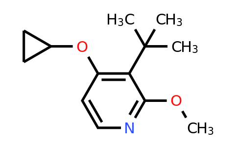 CAS 1243470-74-7 | 3-Tert-butyl-4-cyclopropoxy-2-methoxypyridine