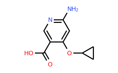 CAS 1243470-77-0 | 6-Amino-4-cyclopropoxynicotinic acid