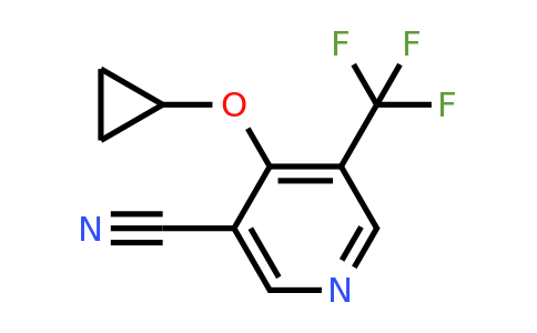 CAS 1243471-93-3 | 4-Cyclopropoxy-5-(trifluoromethyl)nicotinonitrile