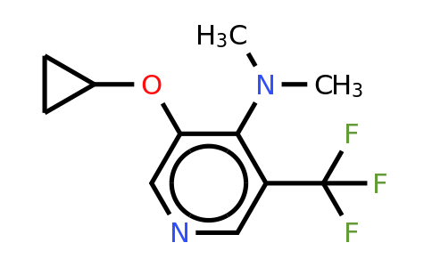 CAS 1243472-11-8 | 3-Cyclopropoxy-N,n-dimethyl-5-(trifluoromethyl)pyridin-4-amine
