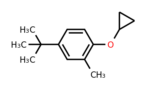 CAS 1243473-09-7 | 4-Tert-butyl-1-cyclopropoxy-2-methylbenzene