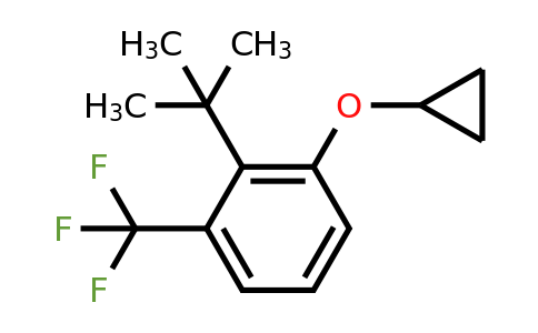 CAS 1243473-70-2 | 2-Tert-butyl-1-cyclopropoxy-3-(trifluoromethyl)benzene