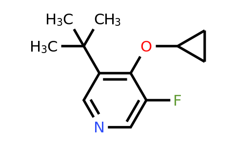 CAS 1243474-89-6 | 3-Tert-butyl-4-cyclopropoxy-5-fluoropyridine