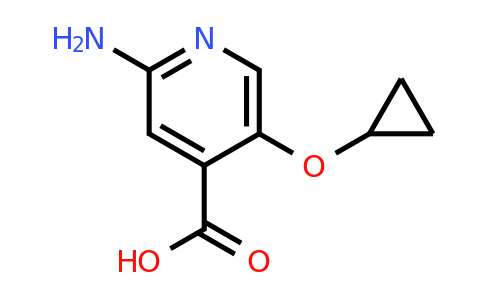 CAS 1243475-24-2 | 2-Amino-5-cyclopropoxyisonicotinic acid