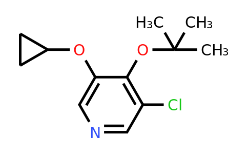CAS 1243475-40-2 | 4-Tert-butoxy-3-chloro-5-cyclopropoxypyridine
