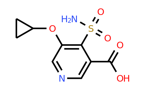 CAS 1243475-78-6 | 5-Cyclopropoxy-4-sulfamoylnicotinic acid