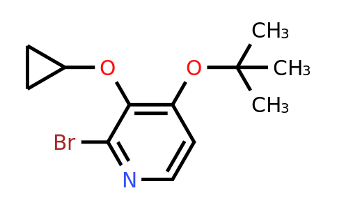 CAS 1243476-12-1 | 2-Bromo-4-tert-butoxy-3-cyclopropoxypyridine