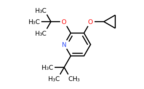 CAS 1243476-37-0 | 2-Tert-butoxy-6-tert-butyl-3-cyclopropoxypyridine