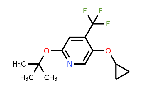 CAS 1243476-56-3 | 2-Tert-butoxy-5-cyclopropoxy-4-(trifluoromethyl)pyridine