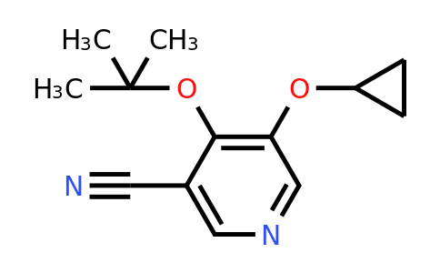 CAS 1243479-64-2 | 4-Tert-butoxy-5-cyclopropoxynicotinonitrile