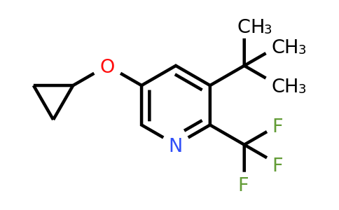 CAS 1243480-37-6 | 3-Tert-butyl-5-cyclopropoxy-2-(trifluoromethyl)pyridine