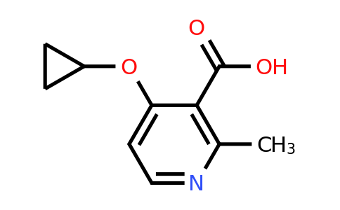CAS 1243480-93-4 | 4-Cyclopropoxy-2-methylnicotinic acid