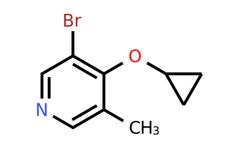 CAS 1243481-50-6 | 3-Bromo-4-cyclopropoxy-5-methylpyridine