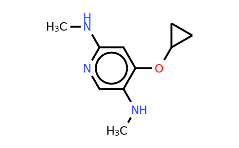 CAS 1243481-57-3 | 4-Cyclopropoxy-2-N,5-N-dimethylpyridine-2,5-diamine