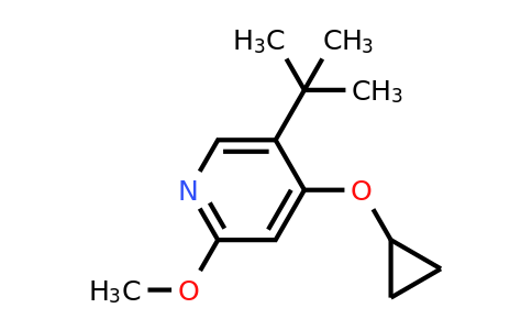 CAS 1243481-58-4 | 5-Tert-butyl-4-cyclopropoxy-2-methoxypyridine