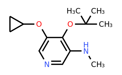 CAS 1243481-84-6 | 4-Tert-butoxy-5-cyclopropoxy-N-methylpyridin-3-amine
