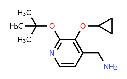 CAS 1243482-05-4 | (2-Tert-butoxy-3-cyclopropoxypyridin-4-YL)methanamine