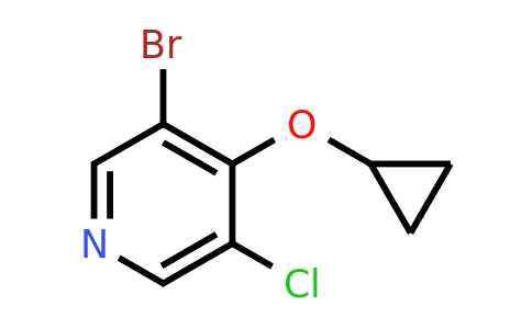 CAS 1243482-63-4 | 3-Bromo-5-chloro-4-cyclopropoxypyridine