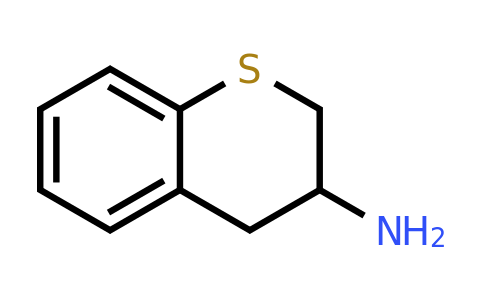 CAS 124499-23-6 | Thiochroman-3-ylamine