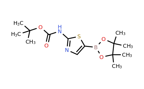 CAS 1245252-99-6 | 2-(Boc-amino)thiazole-5-boronic acid pinacol ester