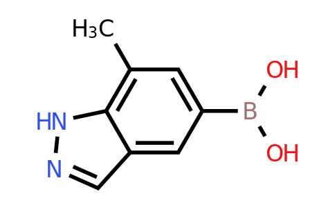 CAS 1245816-07-2 | (7-methyl-1H-indazol-5-yl)boronic acid