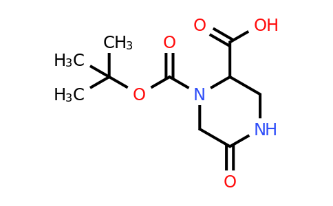 CAS 1246553-28-5 | 1-Tert-butoxycarbonyl-5-oxo-piperazine-2-carboxylic acid