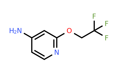 CAS 1247075-58-6 | 2-(2,2,2-trifluoroethoxy)pyridin-4-amine