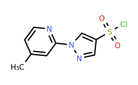 CAS 1247076-12-5 | 1-(4-methylpyridin-2-yl)-1H-pyrazole-4-sulfonyl chloride