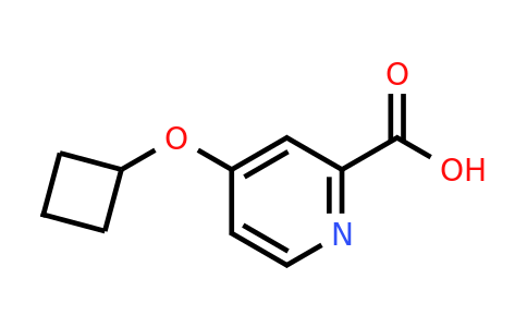 CAS 1247196-30-0 | 4-Cyclobutoxypicolinic acid