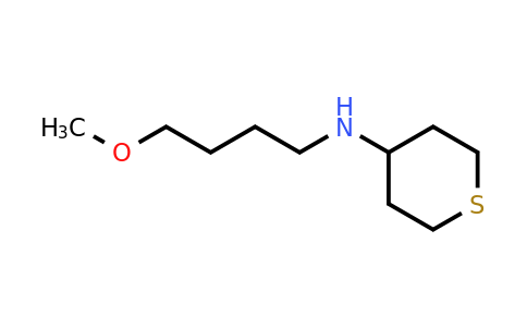 CAS 1247215-98-0 | N-(4-methoxybutyl)thian-4-amine