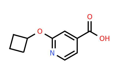 CAS 1247662-13-0 | 2-Cyclobutoxyisonicotinic acid